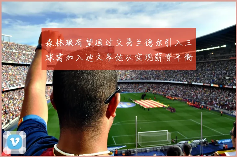 森林狼有望通过交易兰德尔引入三球需加入迪文岑佐以实现薪资平衡